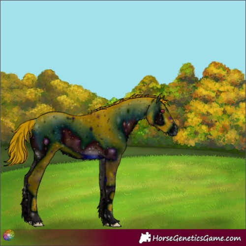 Horse Color:ERROR: UNKNOWN ANOMALY
