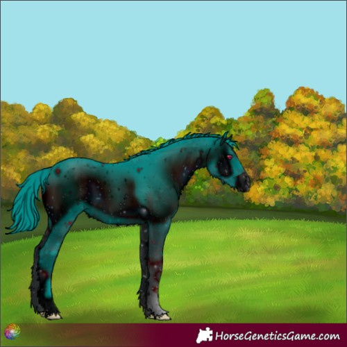 Horse Color:ERROR: UNKNOWN ANOMALY