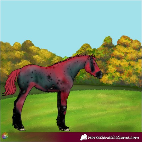 Horse Color:ERROR: UNKNOWN ANOMALY