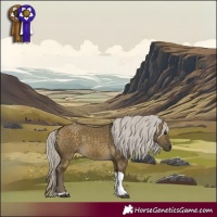 Horse Color:Silver Buckskin Dun Tobiano 