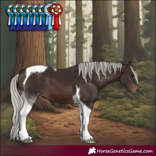 Horse Color:Silver Brown Tobiano 