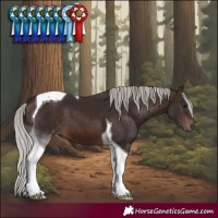 Horse Color:Silver Brown Tobiano 