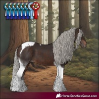 Horse Color:Silver Brown Tobiano 