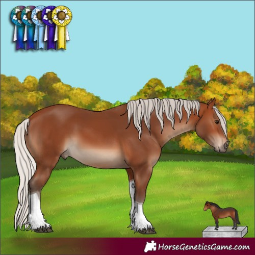 Horse Color:Silver Brown Tobiano 