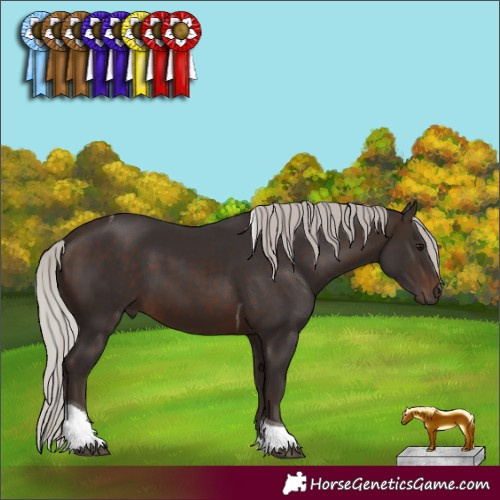 Horse Color:Silver Brown Tobiano 