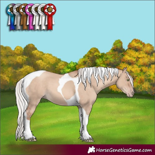 Horse Color:Silver Sable Champagne Dun Tobiano 