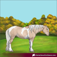 Horse Color:Silver Sable Champagne Dun Tobiano 