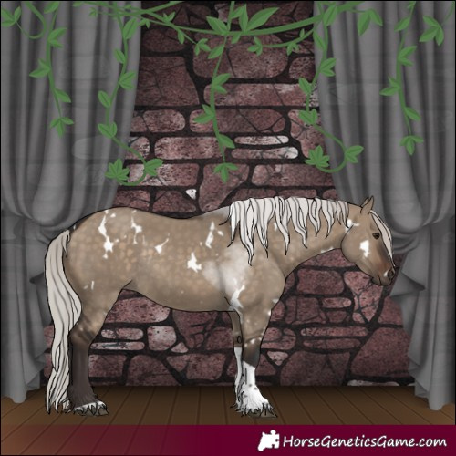 Horse Color:White Spotted Silver Brown Dun Tobiano Rabicano 