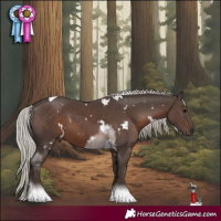 Horse Color:White Spotted Silver Black Tobiano 