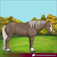 Horse Color:Silver Black 