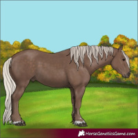 Horse Color:Silver Black 