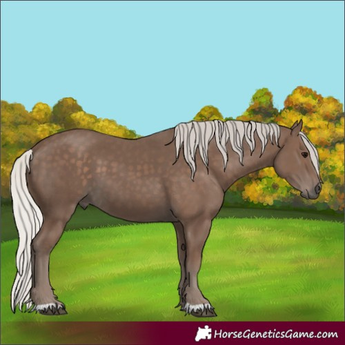 Horse Color:Silver Black 