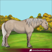 Horse Color:Silver Grullo 
