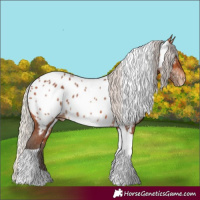 Horse Color:Silver Bay Tobiano Near Leopard Rabicano 