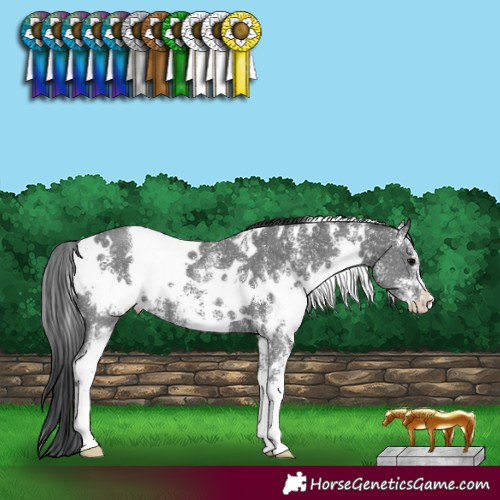 Horse Color:White Spotted Black Sabino 