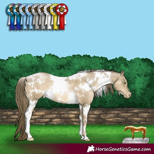 Horse Color:White Spotted Smoky Black Pearl 