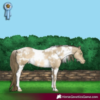 Horse Color:White Spotted Smoky Black Pearl