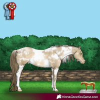 Horse Color:White Spotted Smoky Black Pearl 