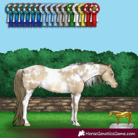 Horse Color:White Spotted Smoky Black Pearl 