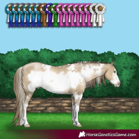 Horse Color:White Spotted Smoky Black Pearl Sabino Frame 