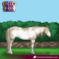 Horse Color:White Spotted Smoky Black Pearl Sabino Frame