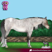 Horse Color:Brown Roan Dun Tobiano Blanket Rabicano Brindle 