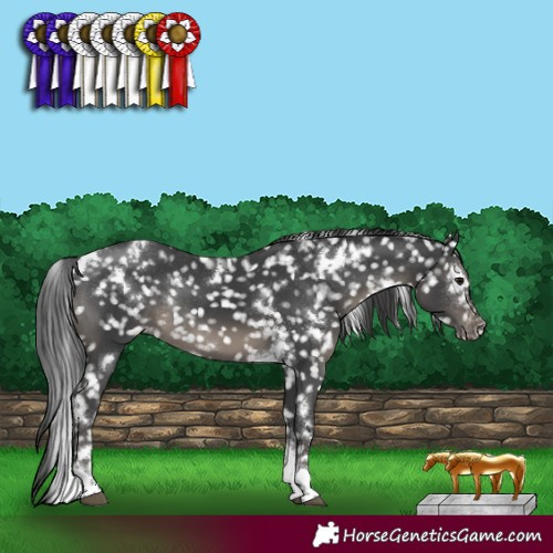 Horse Color:White Spotted Black Tobiano Snowflake Varnish Rabicano 