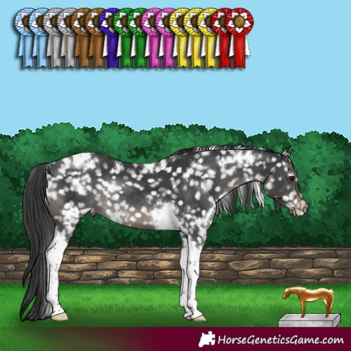Horse Color:White Spotted Black Tobiano Appaloosa Rabicano 