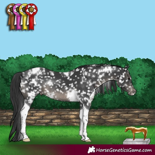 Horse Color:White Spotted Black Tobiano Appaloosa Rabicano 