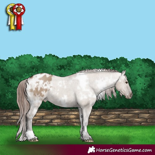 Horse Color:White Spotted Liver Red Dun Appaloosa 