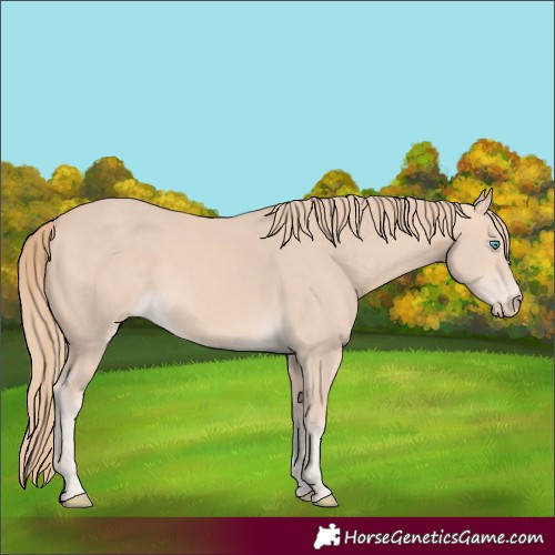 Horse Color:Perlino 