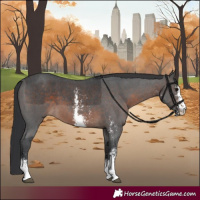 Horse Color:Brown Sabino 