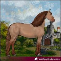 Horse Color:Red Dun 