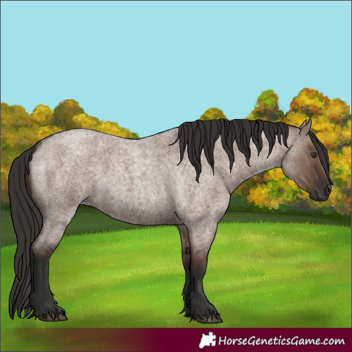 Horse Color:Liver Red Dun Roan Rabicano
