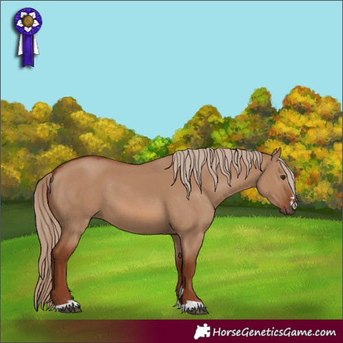 Horse Color:Red Dun 