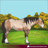 Horse Color:Bay Dun  and Amber Champagne Dun 