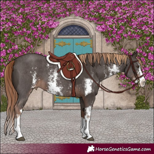 Horse Color:Liver Chestnut Sabino Splash Varnish and Liver Chestnut Sabino Varnish