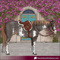 Horse Color:Liver Chestnut Sabino Splash Varnish  and Liver Chestnut Sabino Varnish 