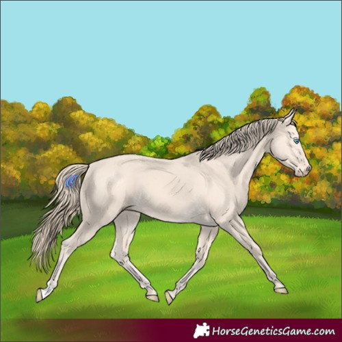 Horse Color:Perlino