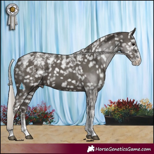 Horse Color:Powder White Silver Black Snowflake Varnish