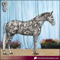 Horse Color:Powder White Silver Black Appaloosa 