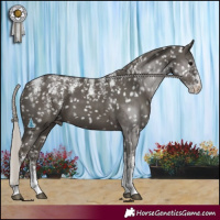 Horse Color:Powder White Silver Black Appaloosa 