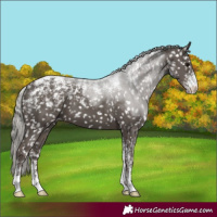 Horse Color:Powder White Silver Black Snowflake Varnish 