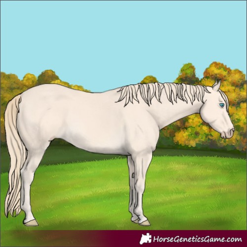 Horse Color:Perlino 