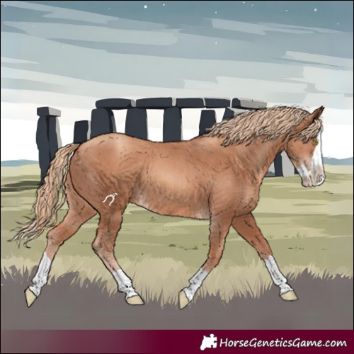 Horse Color:Gold Champagne Splash 