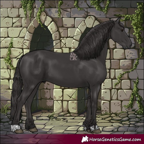 Horse Color:Smoky Black 