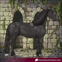Horse Color:Smoky Black