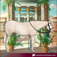 Horse Color:Gold Champagne Pearl Dun Rabicano  and Gold Champagne Pearl Dun Splash Rabicano 