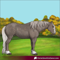 Horse Color:Silver Black 