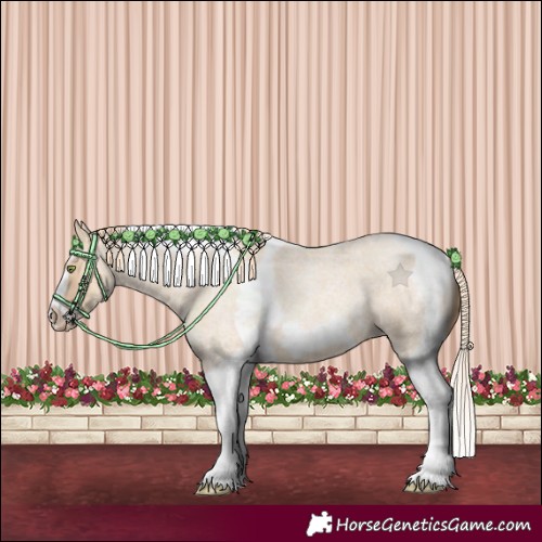 Horse Color:Gold Champagne Roan Dun Splash Tobiano Frame Appaloosa Rabicano 